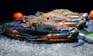 螃蟹全自动分选机 螃蟹托盘式分级秤 螃蟹重量分拣机